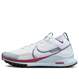 Кроссовки pegasus trail 4 gore tex Nike, белый dj7929-102 | white/cedar/court blue/black