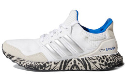Кроссовки Adidas Ultra Boost DNA White Nature Print Women's fw4909