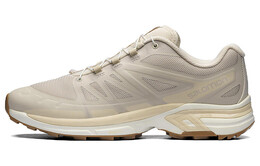 Кроссовки Salomon XT-Wings 2 Rainy Day Bleached Sand 417092