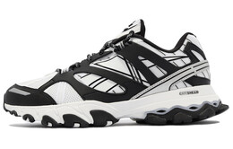 Кроссовки Reebok DMX Trail Shadow 'White Black' ef8819