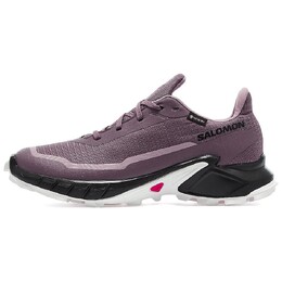 Кроссовки Salomon Women's Alphacross 5 GORE-TEX 'Moonscape', черный l47311000 | moonscape/black/white