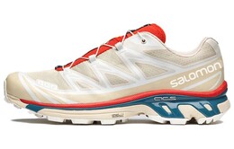 Кроссовки Salomon XT-6 Almond Milk, серый 472934 | greige