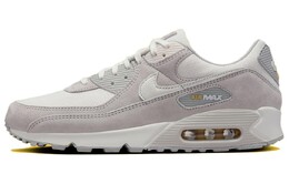 Кроссовки Nike Air Max 90 Light Iron Ore Women's, серый hf9383-001 | gray