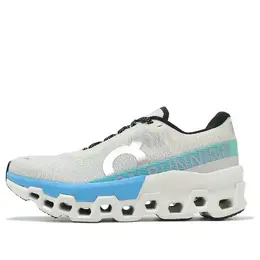 Кроссовки cloudmonster 2 On Running, бежевый 3we10113168 | beige