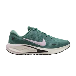 Nike Кроссовки Wmns Journey Run 'Bicoastal Pink Foam', зеленый fj7765 301 | bicoastal pink foam
