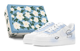 Женские кроссовки для скейтбординга Nike Air Force 1, Sky Blue dh2920-111(teams-星球小狗女s-box) | sky blue
