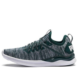 Кроссовки ignite flash evoknit 'gray green white' Puma, серый 190511-16 | gray/green/white