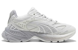 Кроссовки Velophasis 372.5 Feather Gray Gray Fog Puma 396475-01 | white gray