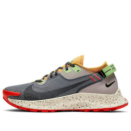 Кроссовки пегас трейл 2 gtx Nike, серый cu2018-002 | gray/yellow/red