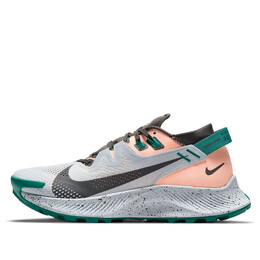 Кроссовки пегас трейл 2 Nike, серый ck4309-004 | grey/light pink-green