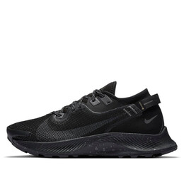 Кроссовки pegasus trail 2 gore tex Nike, черный cu2018-001 | black