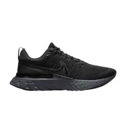 Кроссовки Nike Wmns React Infinity Run Flyknit 2 'Black Iron Grey', черный ct2423 006 | black/black/black/iron grey