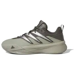 Кроссовки Dame Certified 3 'Cinder' Adidas, Green Brown ih8467 | green brown
