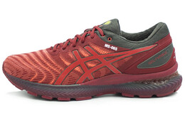 Кроссовки Asics GEL-Nimbus 22 Мужчины 1011b286-600