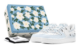 Женские кроссовки для скейтбординга Nike Air Force 1 Low, светло-синий dh2920-111 | 浅蓝色