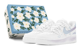 Женские кроссовки для скейтбординга Nike Air Force 1 Low, светло-синий dh2920-111 | 浅蓝色