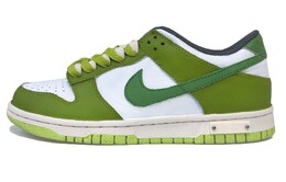 Женские кроссовки для скейтбординга Nike Dunk Low, зеленый dq6215-001 | 绿色