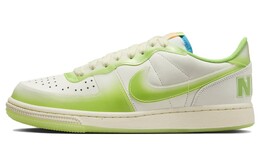 Мужские кроссовки для скейтбординга Nike Terminator fn7651-133