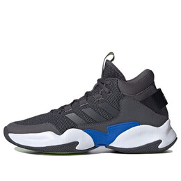 Кроссовки стритчек Adidas, серый ee9668 | gray/blue/black
