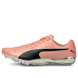 Кроссовки evospeed electric 10 'elektro peach' Puma, розовый 194475-02 | pink/black/silver