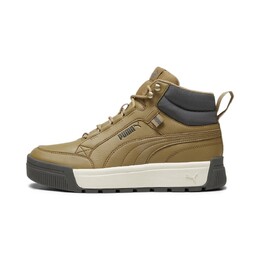 Кроссовки Puma Tarrenz SB III, бежевый 12231951 | beige