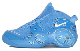 Мужские баскетбольные кроссовки Nike Zoom Flight 95 Vintage dj8604-400