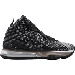 Кроссовки Nike LeBron 17 EP, черный/серый bq3178-002