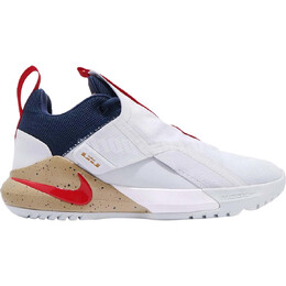 Кроссовки Nike LeBron Ambassador 11 'Pure Platinum', белый/мультиколор ao2920-002