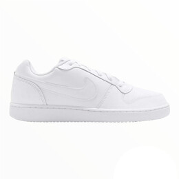 Мужские кроссовки Nike Ebernon Low, белый aq1775-100 white