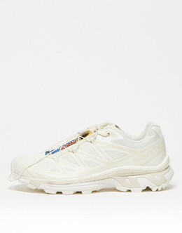 Кроссовки Salomon XT-6 цвета ванильного льда 133651010 | off white