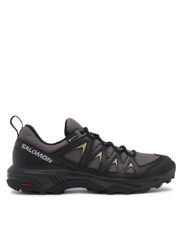 Кроссовки X Braze GORE-TEX Salomon, серый x braze gore-tex l47180500 | grau