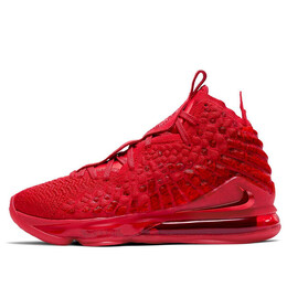 Кроссовки леброн 17 Nike, красный bq3177-600 | red