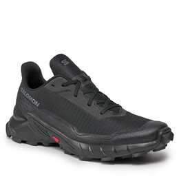Кроссовки Salomon Alphacross, черный 0000303487003 | black