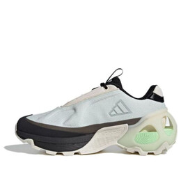 Кроссовки Edge Runner Adidas, черный if1654 | black/blue/green