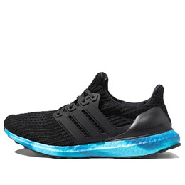 Кроссовки ультрабуст Adidas, черный fv7281 | black/blue