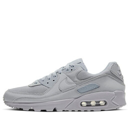 Кроссовки air max 90 Nike, серый cn8490-001 | grey