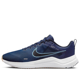 Кроссовки дауншифтер 12 Nike, синий dd9293-400 | blue/white
