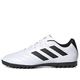 Кроссовки goletto vii tf turf Adidas, черный fv8704 | black/white