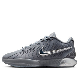 Кроссовки lebron 21 ep Nike, серый hf5353-001 | cool grey/metallic silver/iron grey
