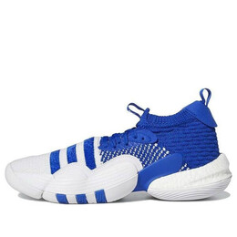 Кроссовки trae young 2 Adidas, синий h03839 | royal blue/cloud white
