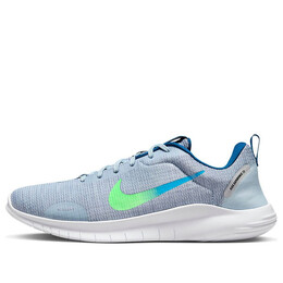 Кроссовки flex experience run 12 Nike, серый dv0740-400 | grey/green/blue