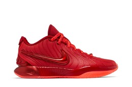 Кроссовки Nike LeBron 21, красный hf5951 600 | red