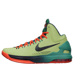 Кроссовки kd 5 all star Nike, мульитколор 583111-300 | multi-color