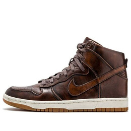 Кроссовки данки хай люкс сп Nike, коричневый 747138-221 | brown/brown