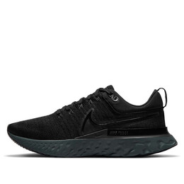 Кроссовки react infinity run flyknit 2 Nike, черный ct2357-003 | black