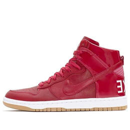 Кроссовки данки люкс сп Nike, красный 718790-661 | red