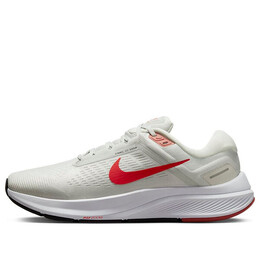 Кроссовки air zoom structure 24 Nike, серый da8535-010 | gray