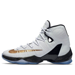 Кроссовки lebron 13 элита Nike, белый 831923-170 | white/black-metallic gold