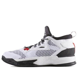 Кроссовки d lillard 2 шт. Adidas, белый b54171 | white/black/red