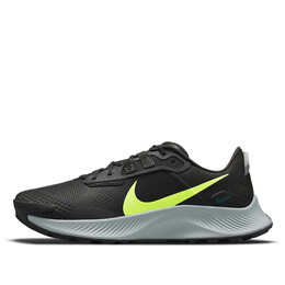 Кроссовки пегас трейл 3 Nike, черный da8697-002 | black/light gray